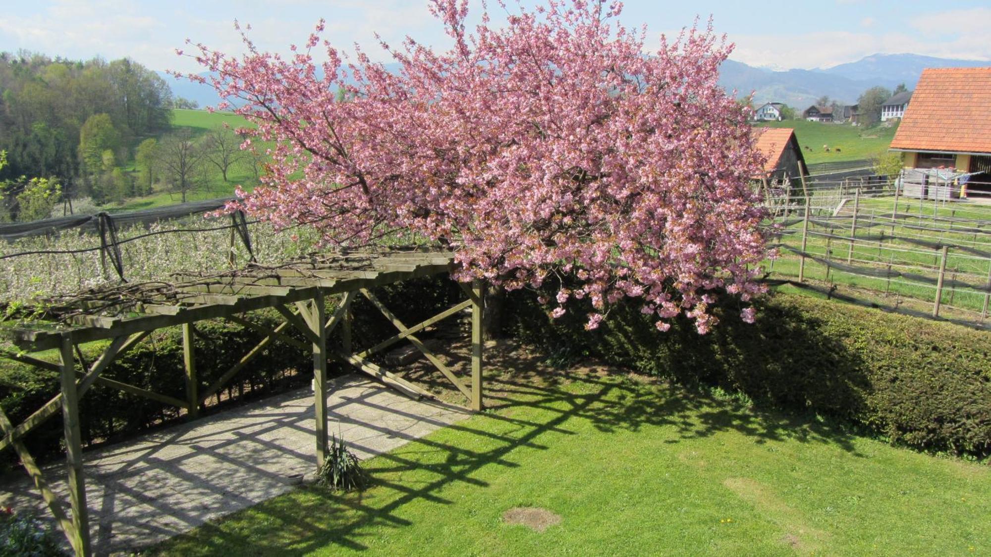 Pension Maria Wallner Bad Gams Exterior foto